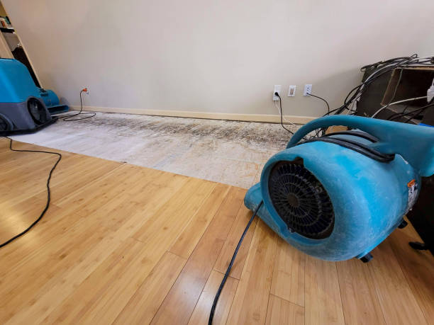 Reliable Basement Flood Cleanup contractor in Belleville, IL by Hirex Water Damage