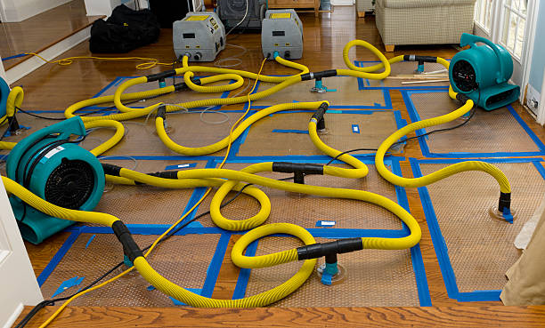 Professional Basement Flood Cleanup technician working in Belleville, IL